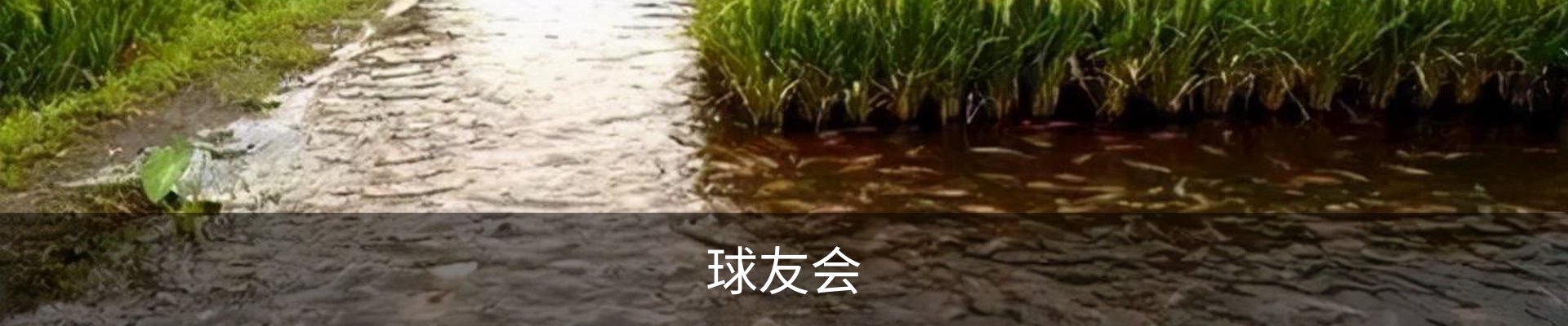 球友会